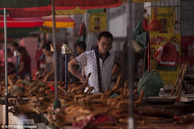 Festival de viande de chien : une Chinoise héro?que pour sauver ces petites bêtes