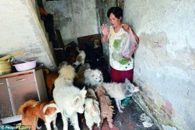 Festival de viande de chien : une Chinoise héro?que pour sauver ces petites bêtes