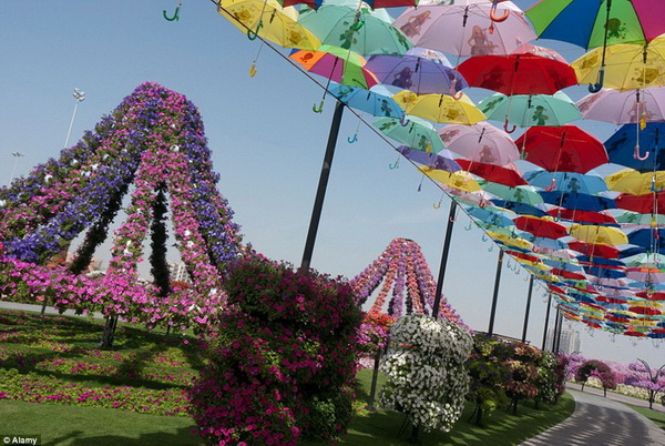 Duba? et la plus grande exposition de fleurs 