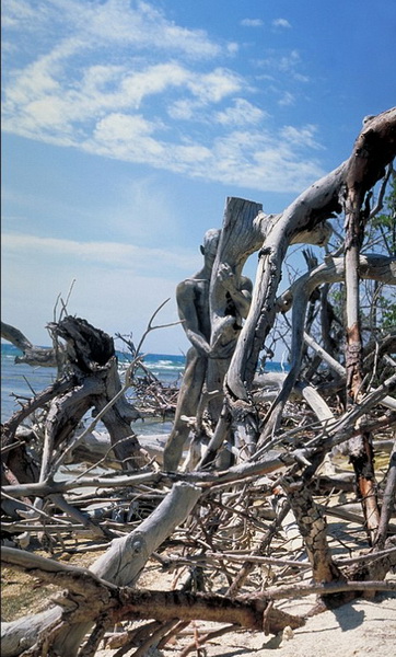 Un cliché pris au Porto Rico