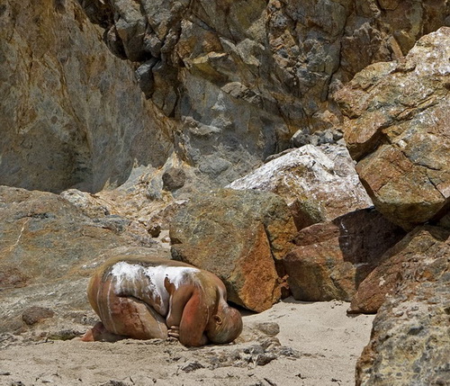 Des peintures corporelles qui s'intègrent dans l'environnement