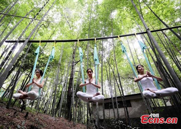 Des yogistes montrent la force et la beauté de leur art dans une forêt de bambous 