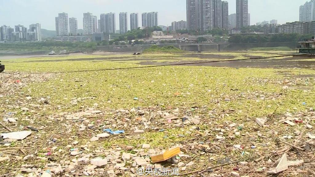 Le fleuve Yangtsé encombré par près de 10 000 mètres carrés de déchets flottants à Chongqing