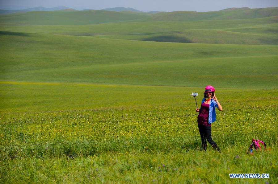 Photos - paysages de la prairie de Ulgai en Mongolie intérieure 