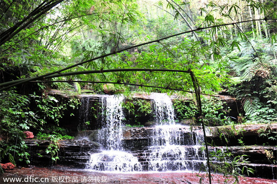 5. La mer de bambous Shunan de Yibin, province du Sichuan, couvre une superficie de plus de 120 km, dont une région pittoresque centrale de 44 km, huit zones pittoresques environnantes et 134 sites pittoresques. La mer de bambou comprend 28 crêtes et sommets, de haute et basse altitude, et plus de 500 collines densément recouvertes de divers types de bambou.