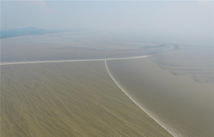 Les Marées de la rivière Qiantang viennent de l'est et du sud, en formant le caractère chinois ?ren?. Image prise le 2 ao?t 2015. [Photo/CFP]