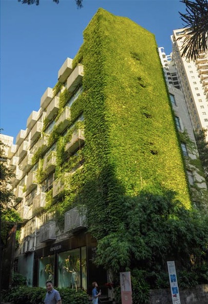 Un batiment recouvert de verdure du parc industriel de Shenzhen.