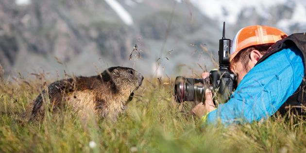 Autriche : deux mannequins marmottes au pied du Grossglockner