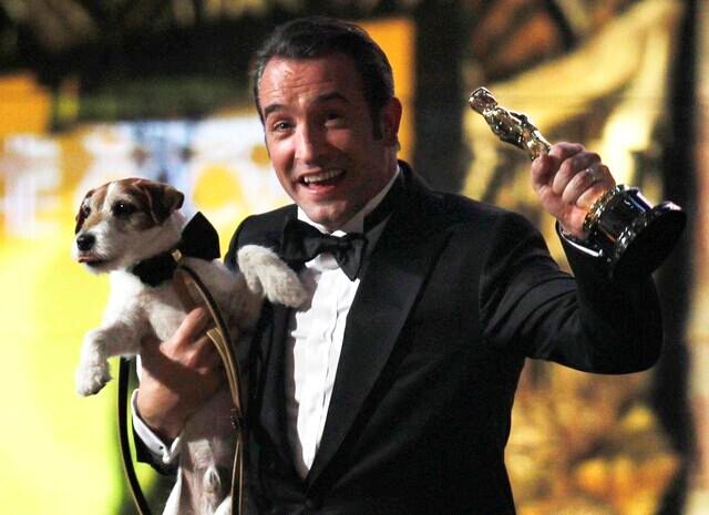 Uggie, le chien vedette du film ? The Artist ? est mort à l'age de 13 ans