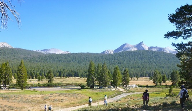 Un camping du Parc Yosemite fermé après la découverte d'écureuils morts de la peste