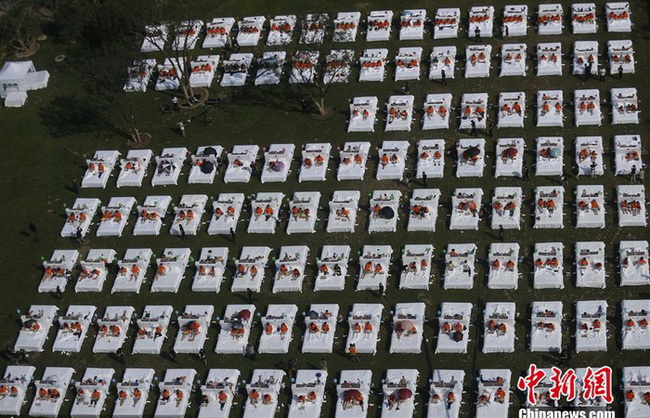 Beijing : un petit-déjeuner au lit dans le livre des records