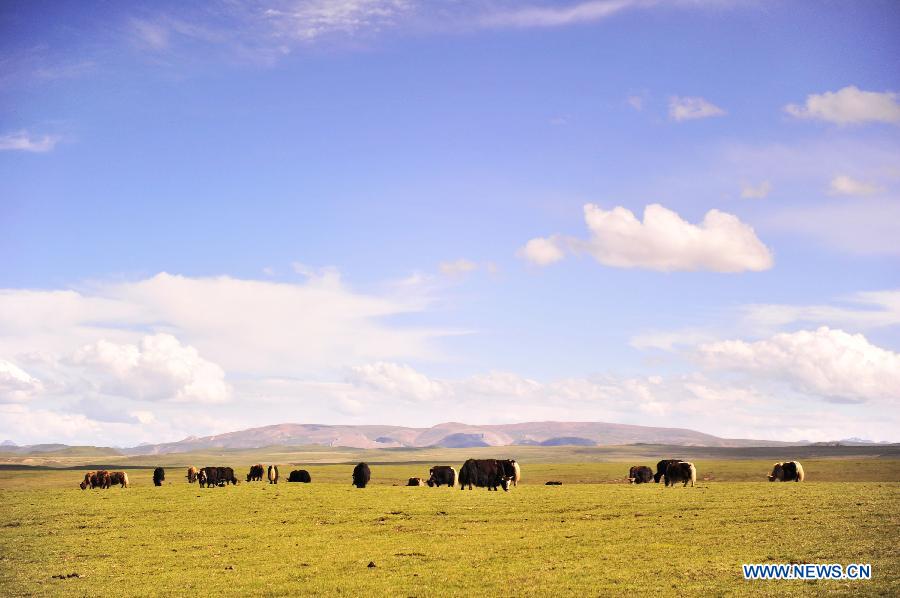 Paysages magnifiques du Tibet