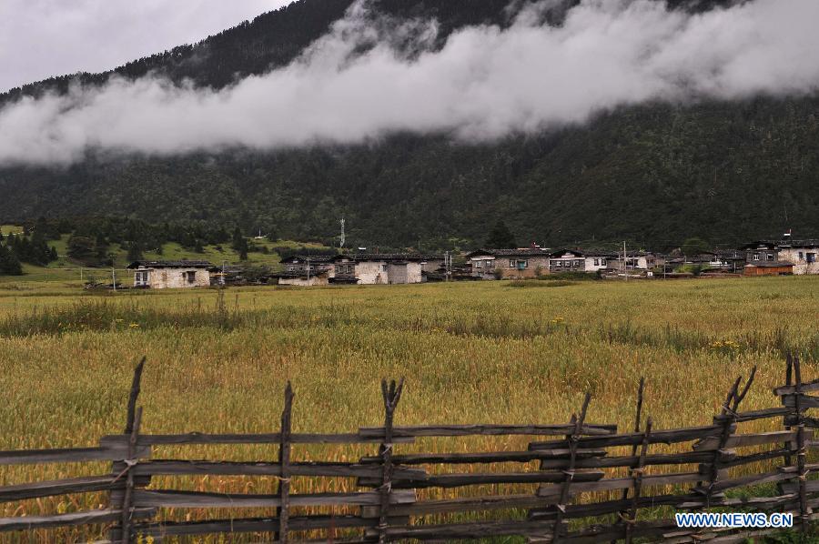 Paysages magnifiques du Tibet