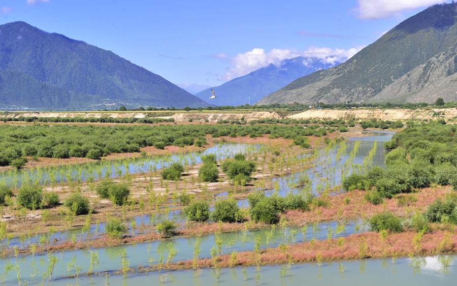 La beauté originelle du Tibet, bien préservée grace à la stratégie de ? développement vert ?