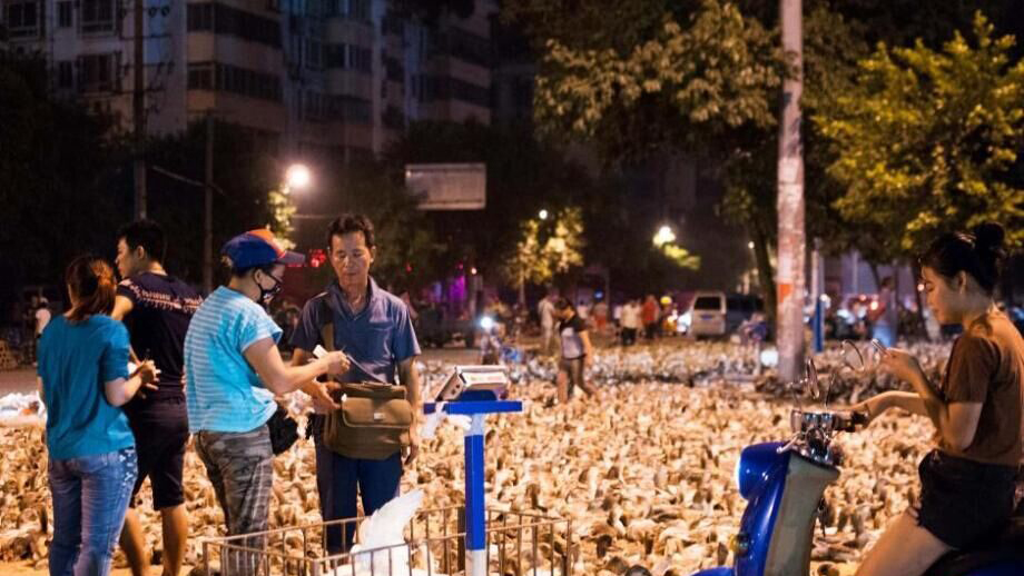 100 000 canards vendus pour la Fête des fant?mes dans le Guangxi