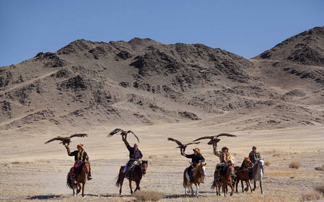 Mongolie: les 70 derniers dresseurs de faucons 