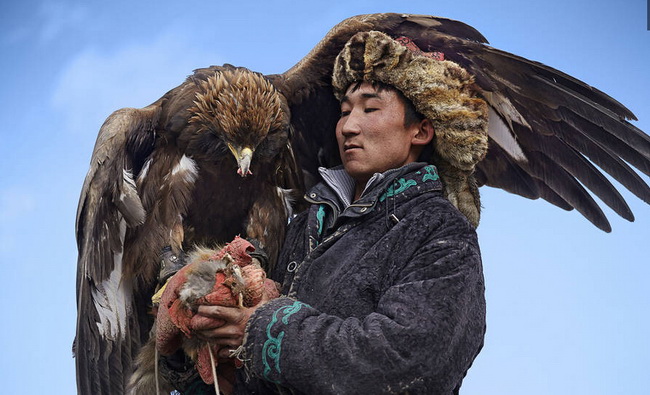 Mongolie: les 70 derniers dresseurs de faucons 