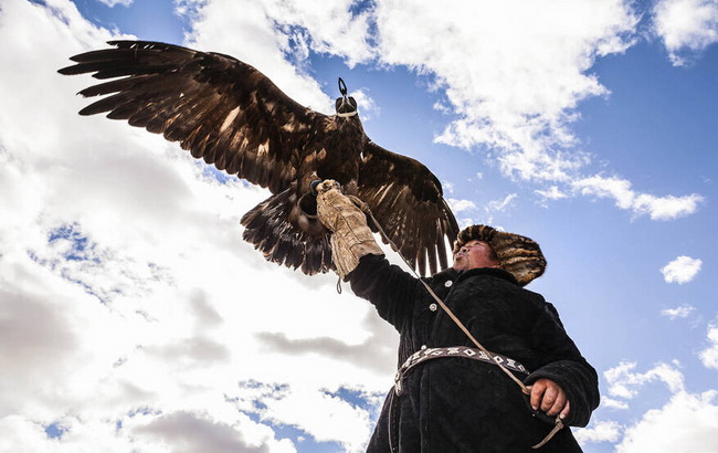 Mongolie: les 70 derniers dresseurs de faucons 