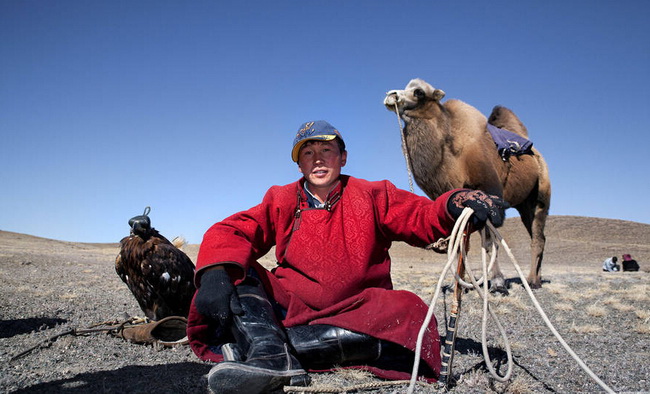 Mongolie: les 70 derniers dresseurs de faucons 