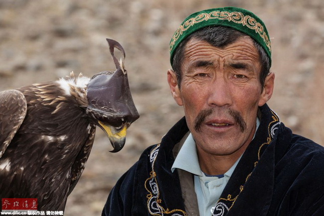 Mongolie: les 70 derniers dresseurs de faucons 