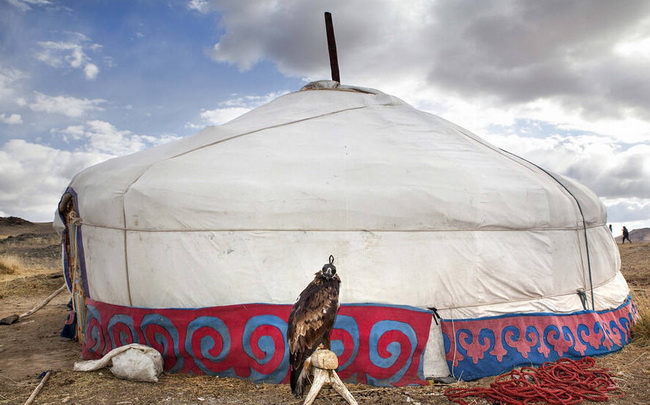 Mongolie: les 70 derniers dresseurs de faucons 