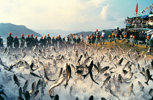 Pêche sur le lac de Qiandao