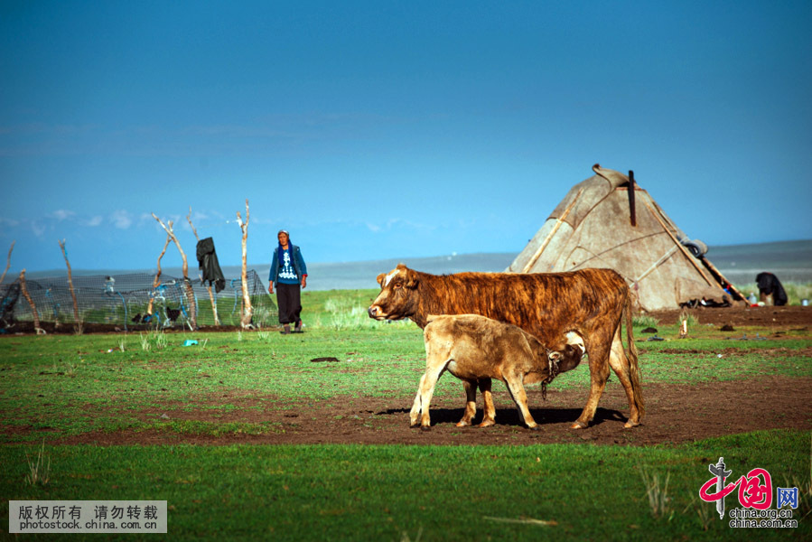 Xinjiang : les paysages splendides de Zhaosu