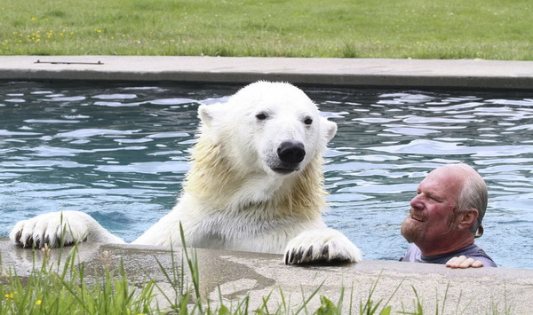 Une famille américaine a adopté 13 ours