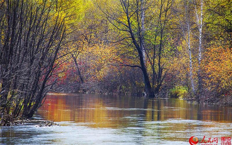 Les paysages d'automne de la ville la plus froide de la cha?ne du Grand Khingan 