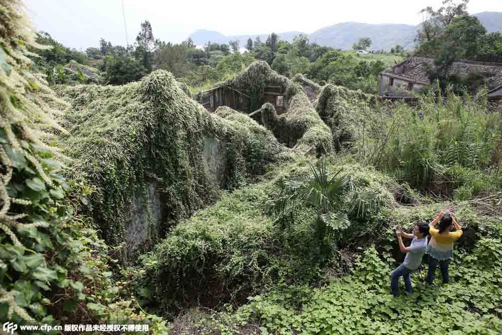 Abandonné depuis deux décennies, un village chinois veut se transformer en un monde féerique