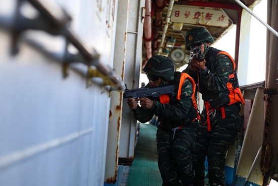 Exercice anti-détournement maritime pour les commandos ? Léopard des neiges ? et Faucon ?