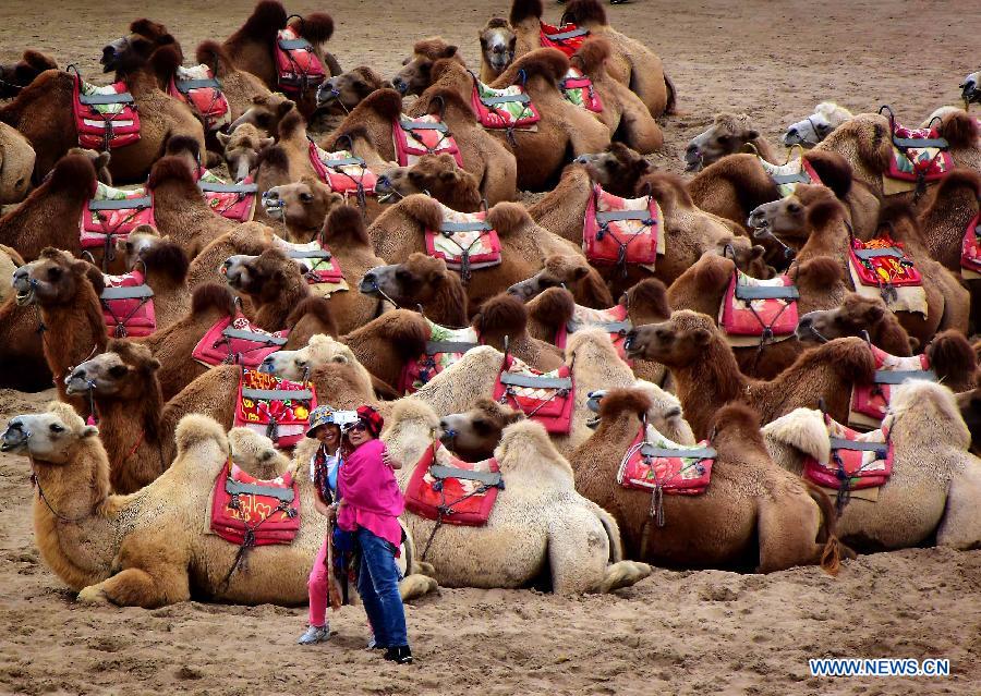 Tourisme de désert en Chine