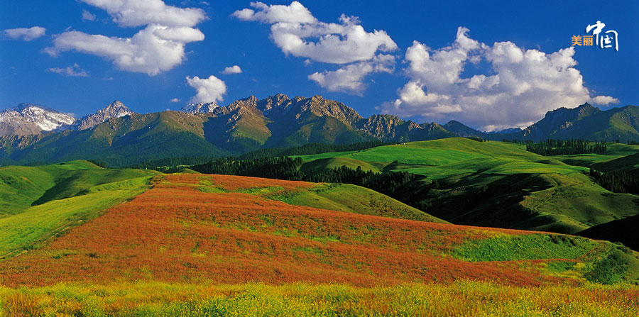 Le Xinjiang, un paradis sur terre