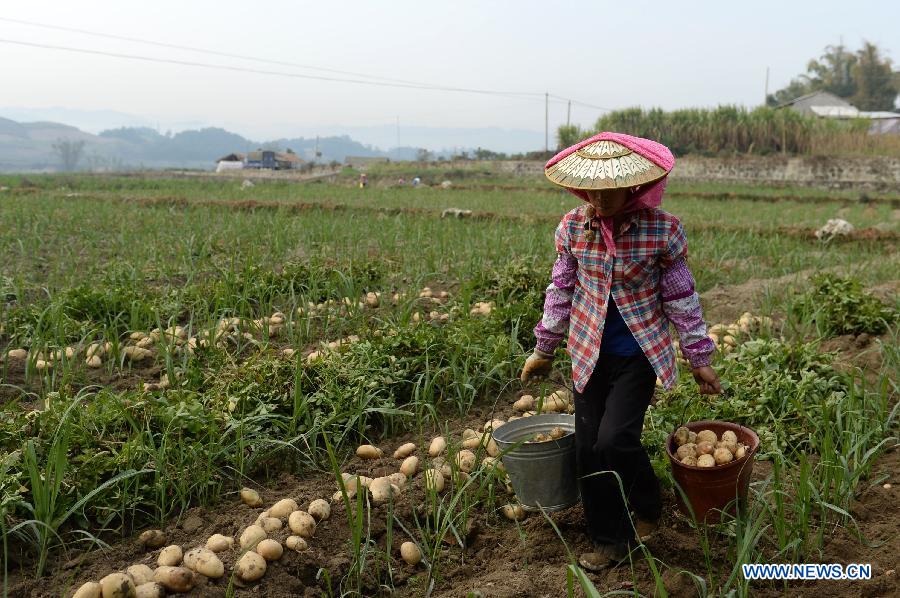 Chine : réalisations et challenges en matière de réduction de la pauvreté