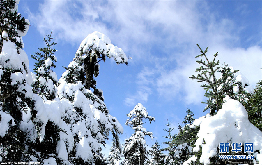 Sichuan : premier manteau de neige sur le mont Luoji