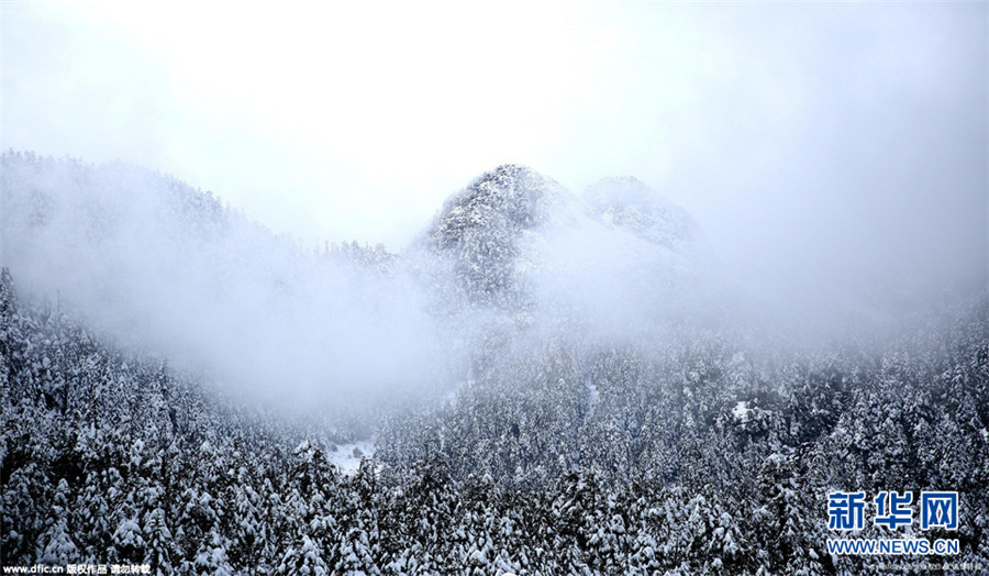 Sichuan : premier manteau de neige sur le mont Luoji