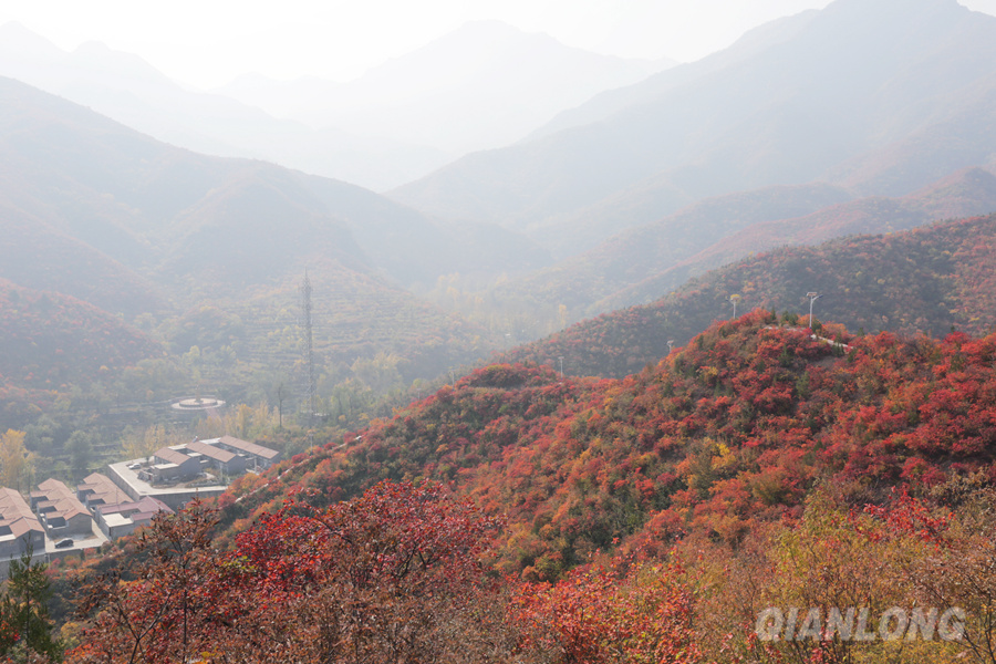 Les feuilles rouges embellissent l'ouest de Beijing