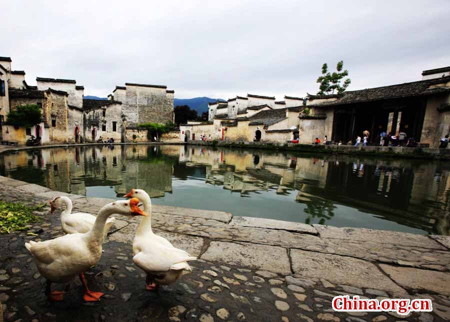 Paysage pittoresque du village de Hongcun