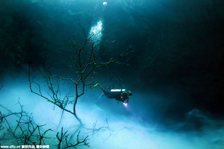 Mexique : un photographe explore une mystérieuse fosse marine 