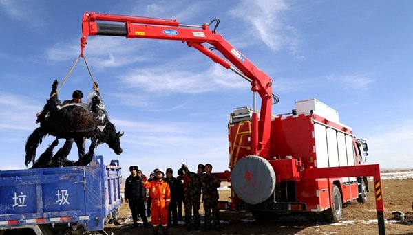 Qinghai : une vingtaine de yacks périssent dans un lac gelé