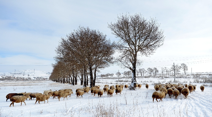 Chine : neige sur le Hebei