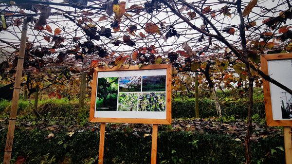 Jiangxi : la biodiversité de la ?Gentleman Valley?