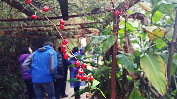 Jiangxi : la biodiversité de la ?Gentleman Valley?