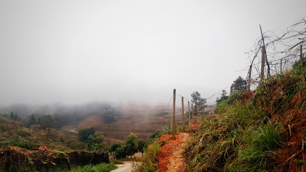 Jiangxi : la biodiversité de la ?Gentleman Valley?