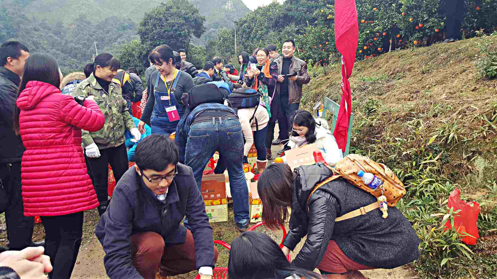 Découvrez les oranges de Ganzhou : une des spécialités du Jiangxi 