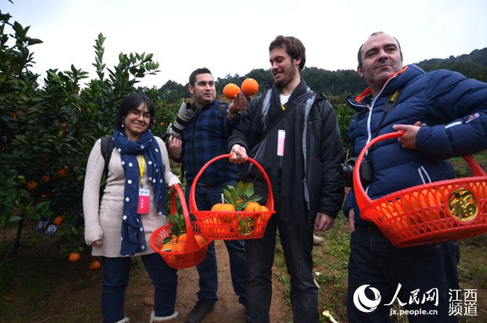 Découvrez les oranges de Ganzhou : une des spécialités du Jiangxi 