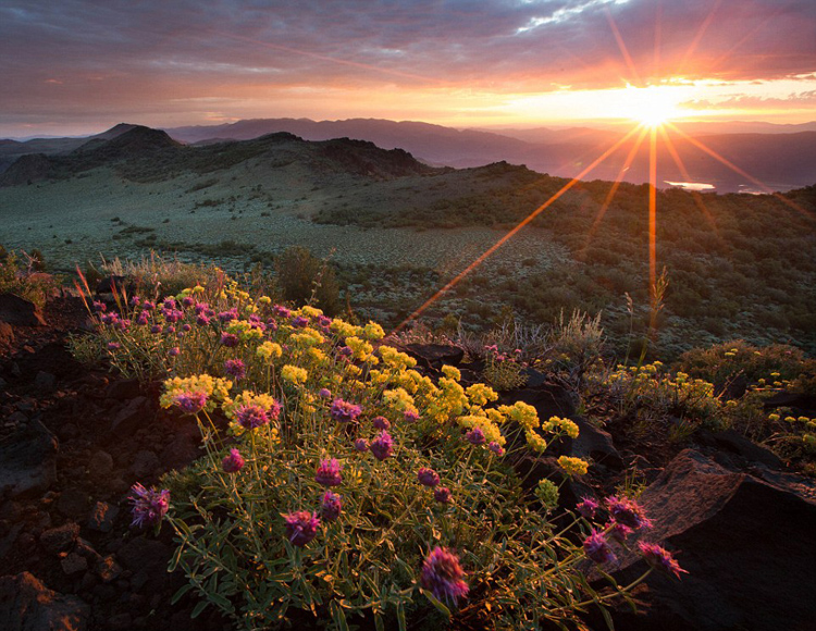 Les plus belles photos des parcs nationaux américains en 2015