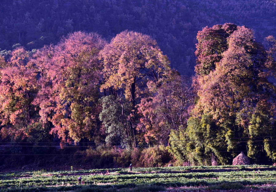 Paysage du bourg de Xize au Yunnan