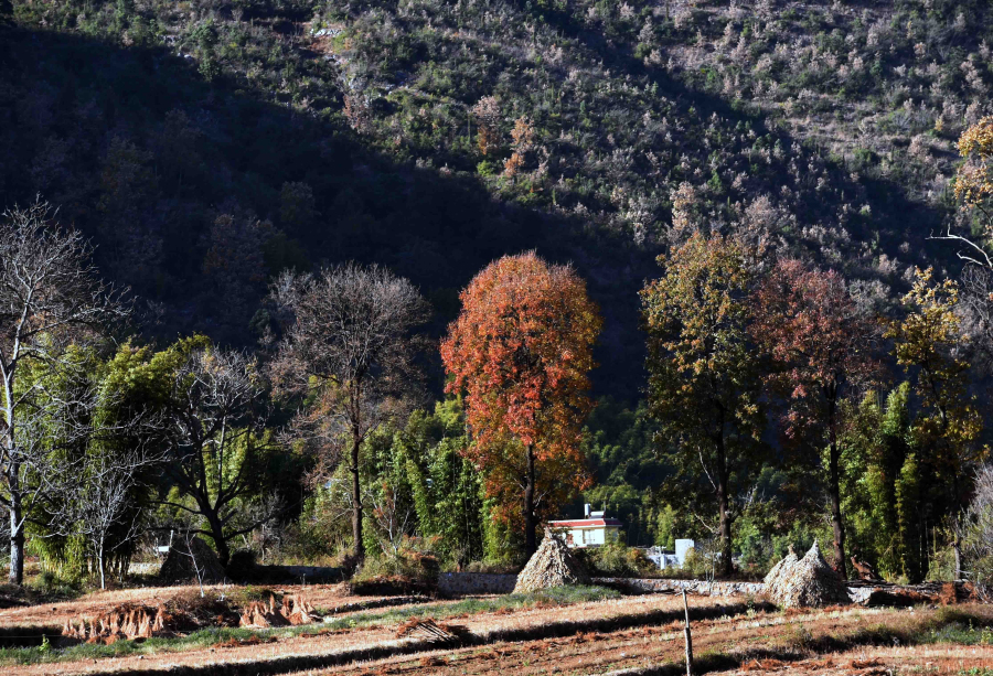 Paysage du bourg de Xize au Yunnan