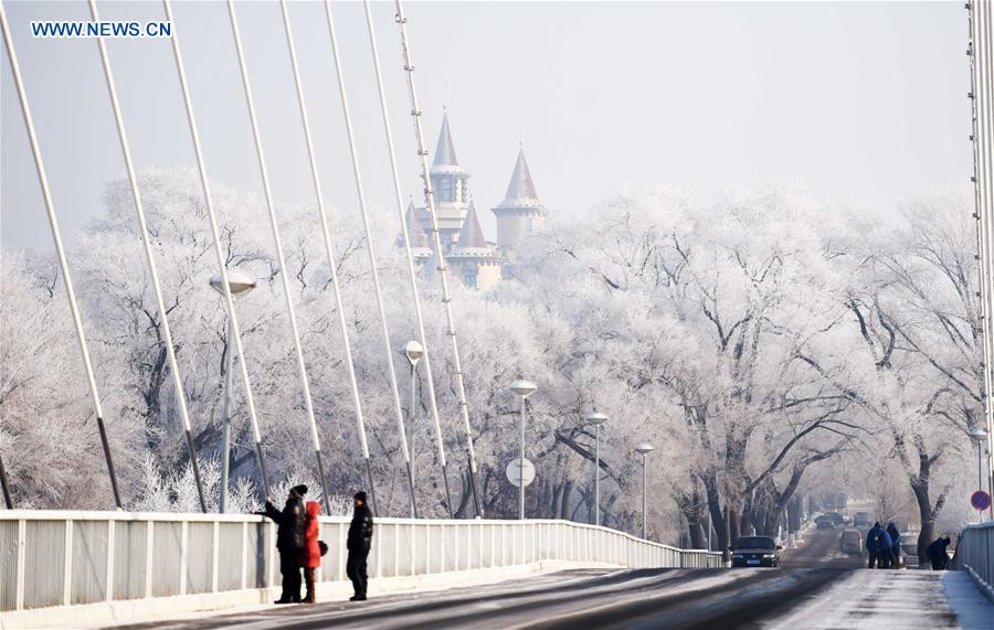 Paysages de givre dans le Nord de la Chine